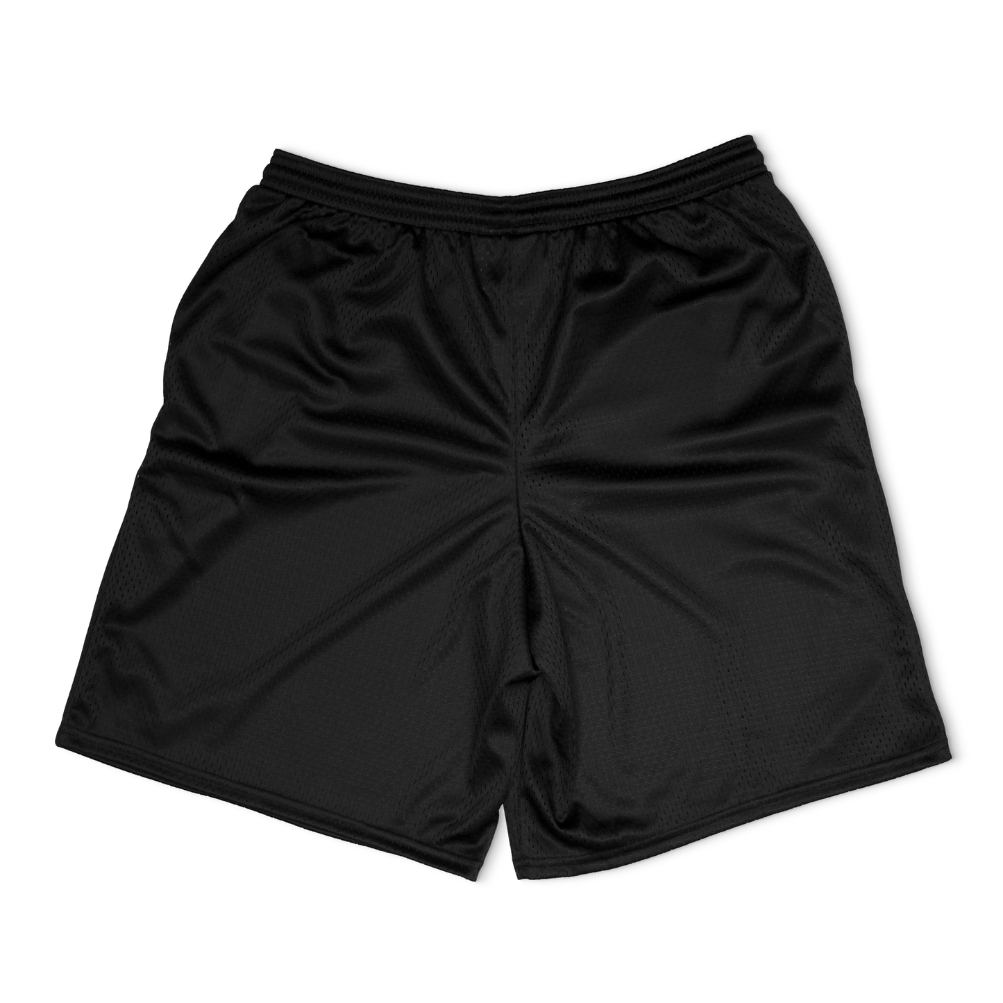 ASG-OM1 / MESH SHORTS